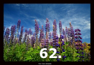 62
