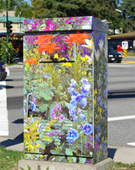 Utility Box Wrap #5